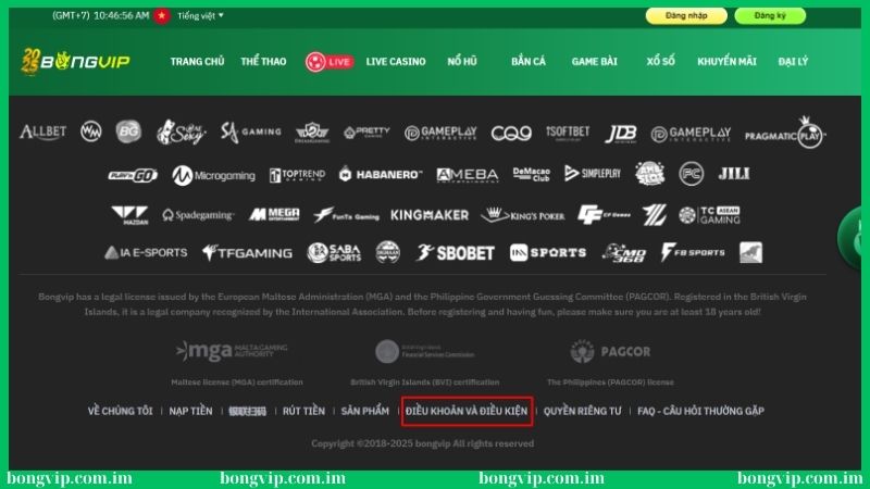 Cập nhật nội dung mới về điều khoản & điều kiện Bongvip