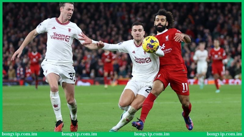 Hướng dẫn cách thức soi kèo Liverpool tại Bongvip