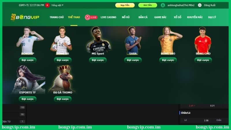 Tính năng soi kèo bóng đá V-League Bongvip dễ sử dụng