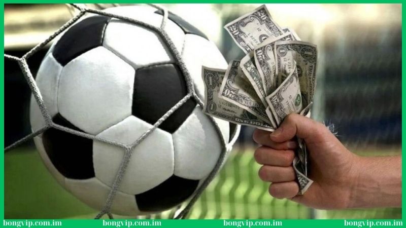 Điểm danh hình thức soi kèo bóng đá Việt Nam thường gặp