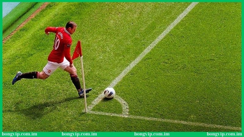 Soi kèo phạt góc Bongvip cực kỳ dễ thắng 