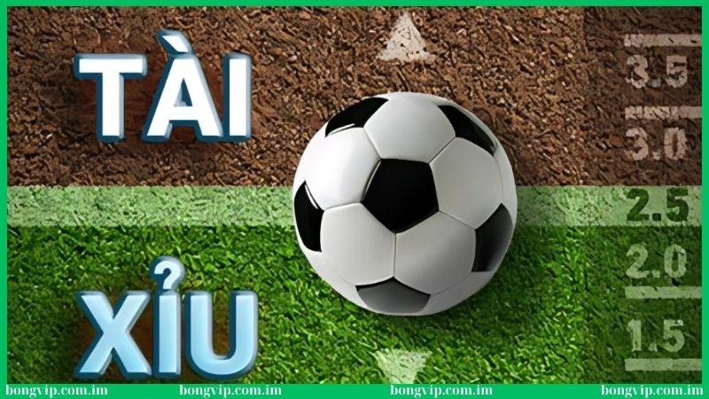 Bongvip có rất nhiều hình thức soi kèo tài xỉu