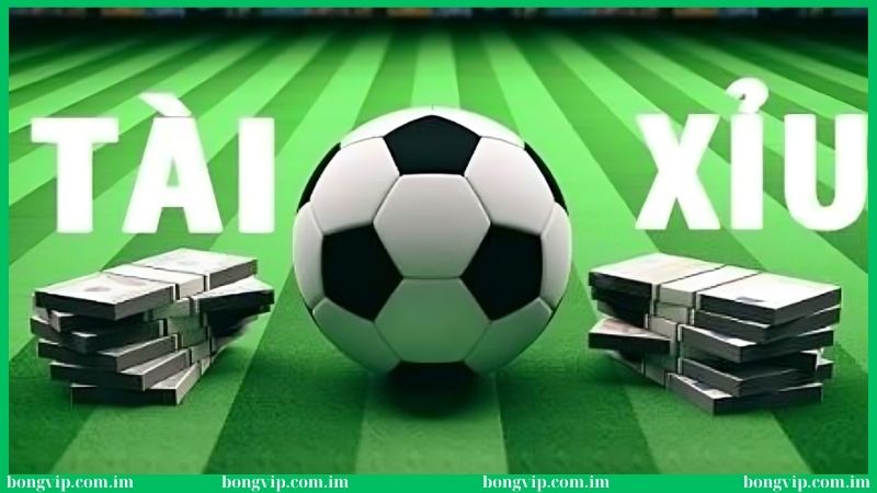 Cách soi kèo tài xỉu đạt hiệu quả cao tại Bongvip 
