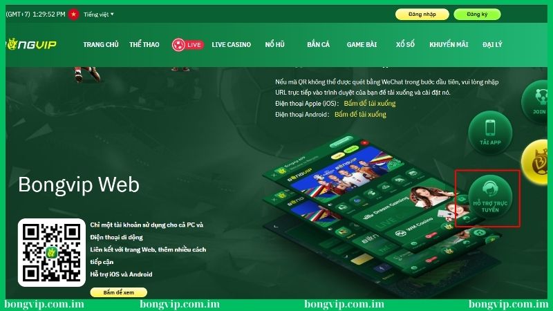 Tải app Bongvip - Hướng dẫn quy trình tải từ A đến Z 4 Liên hệ đội ngũ hỗ trợ hướng dẫn tải app Bongvip