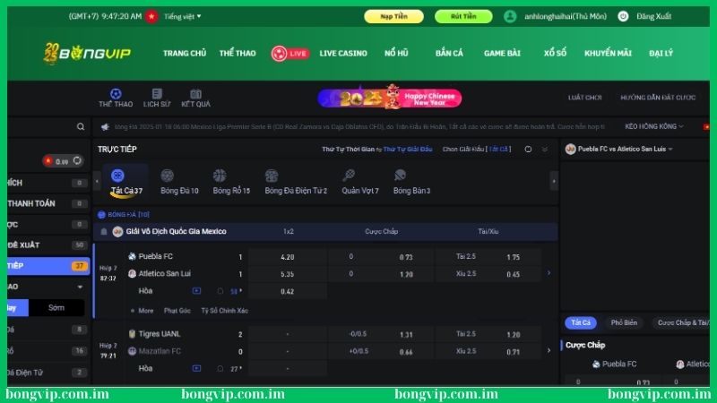 Hướng dẫn cách soi kèo bóng đá Pháp Bongvip hiệu quả